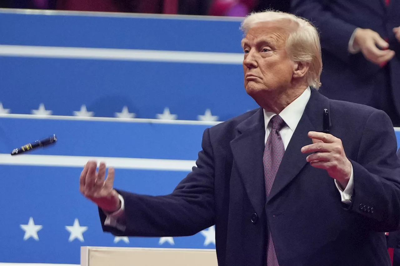 Trump's Musk Comments Spark Election Fraud Probe Calls Amid 2024 Voting Machine Claims