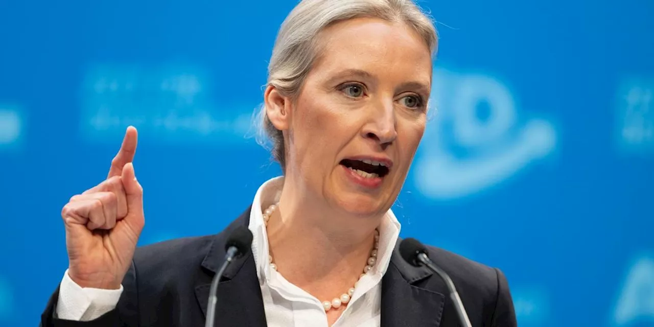 Weidel fordert nach Aschaffenburg Ende der &bdquo;Brandmauer&ldquo;