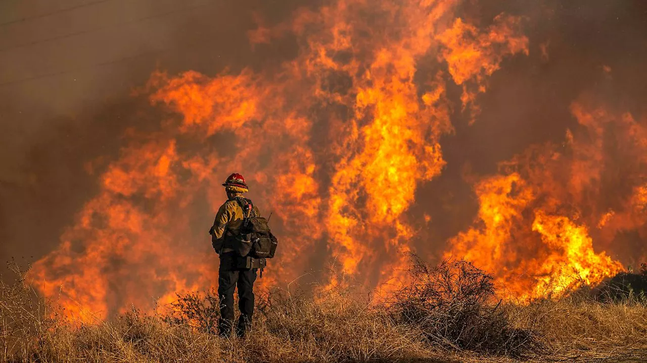 Gerettete Häuser in Pacific Palisades: Feuerwehrleute hinterlassen Hausbesitzern Notizen