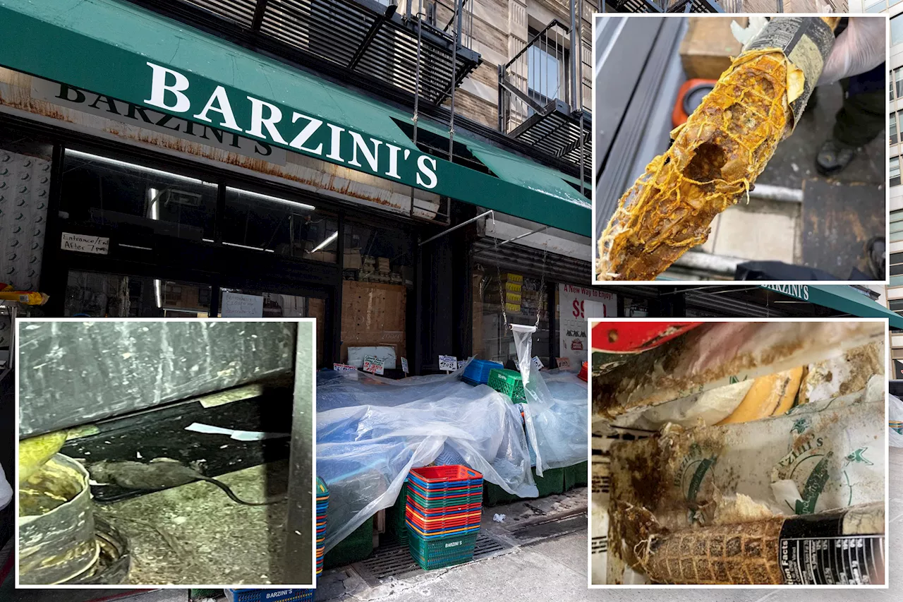 Beloved NYC grocery store defies orders to close after alleged vermin invasion, 7-year-old cheese found in inventory: 'We've neglected it a bit'