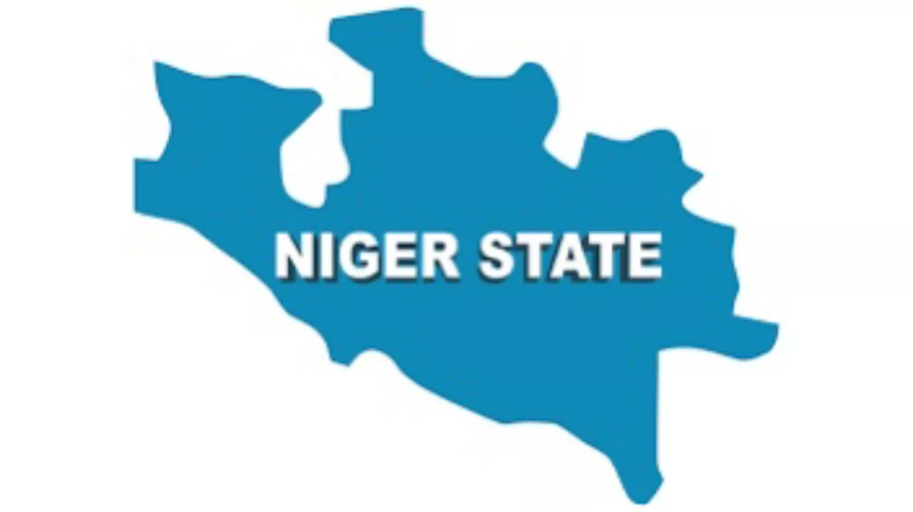 Panic in Niger State as 24 residents hospitalised with strange illness