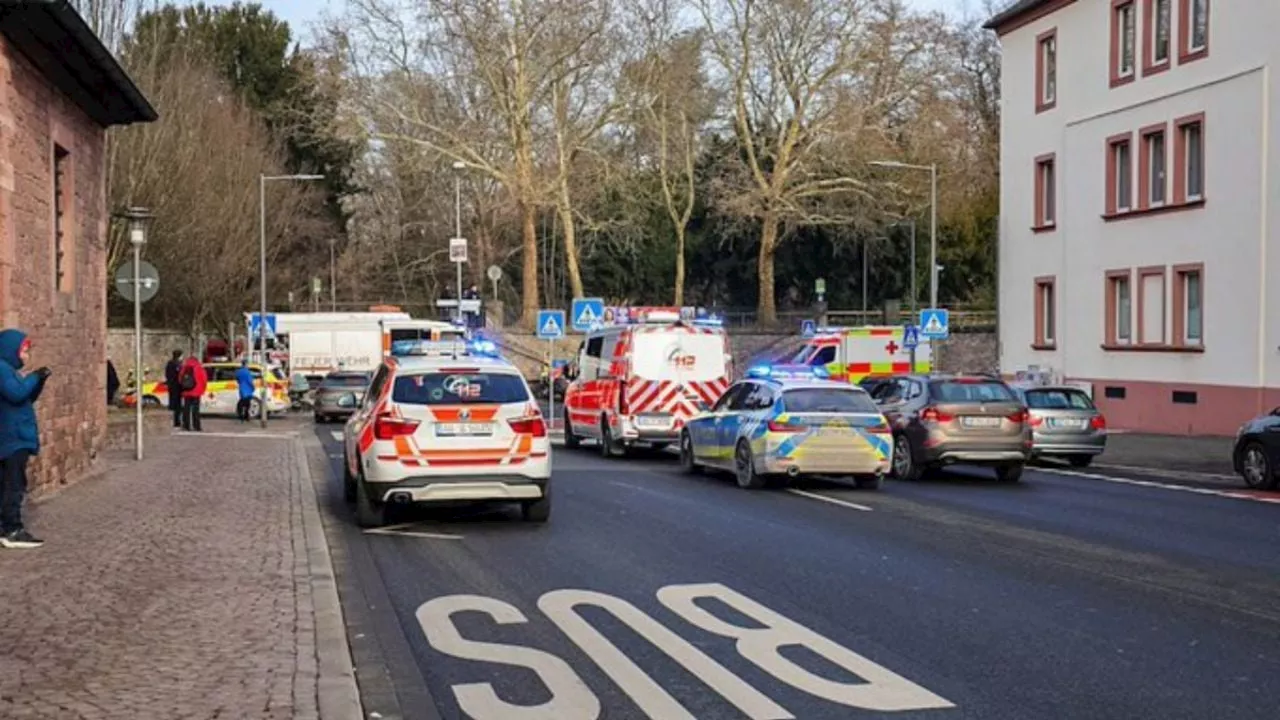 Detenido un ciudadano afgano tras ataque con cuchillo en parque de Alemania