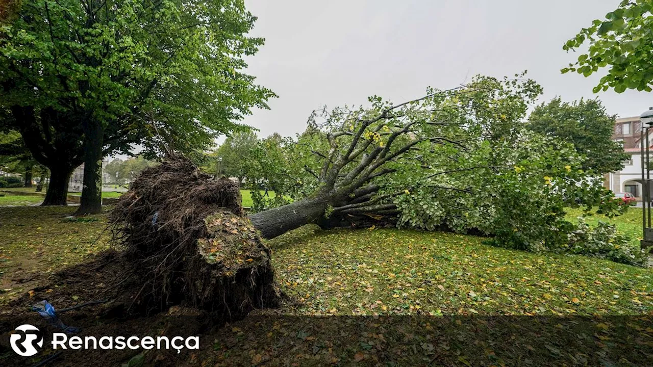 Tornado em Alcácer do Sal causa cortes de eletricidade e danos na linha férrea