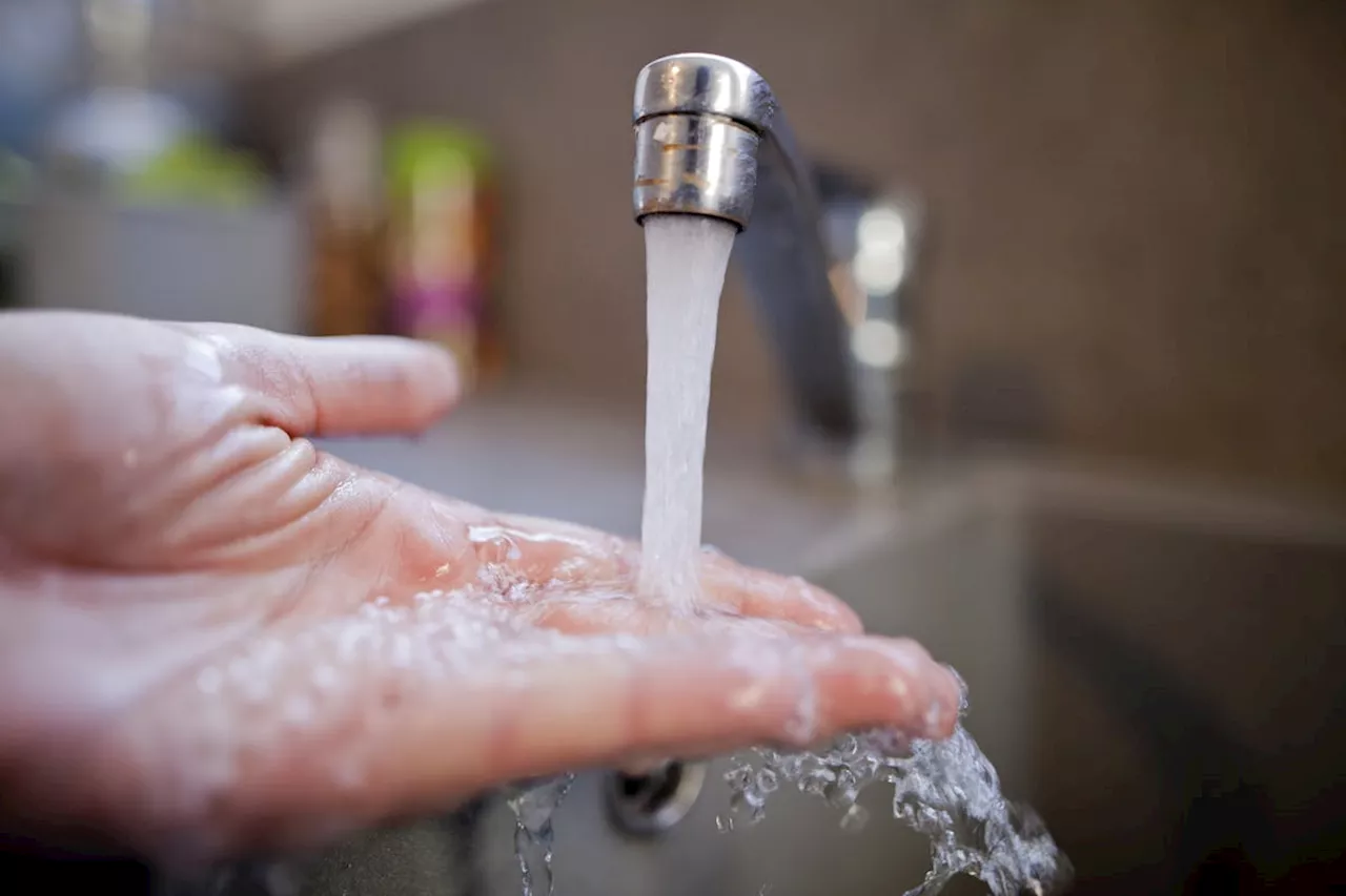 L'eau de notre robinet est massivement polluée par les PFAS, selon deux ONG