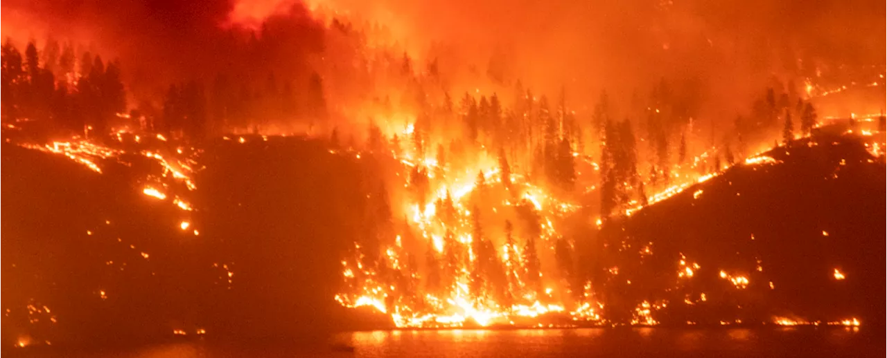 Our Relationship With Fire Is Creating The Burning Equivalent of an Ice Age