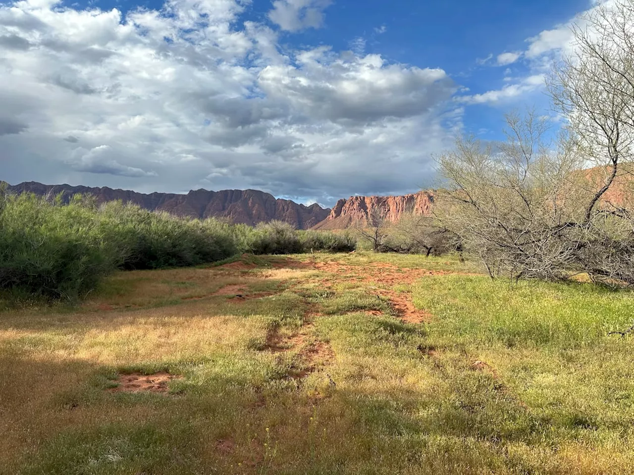 Ivins Water Conservation Lifts beloved Dry Wash From Reservoir Threat