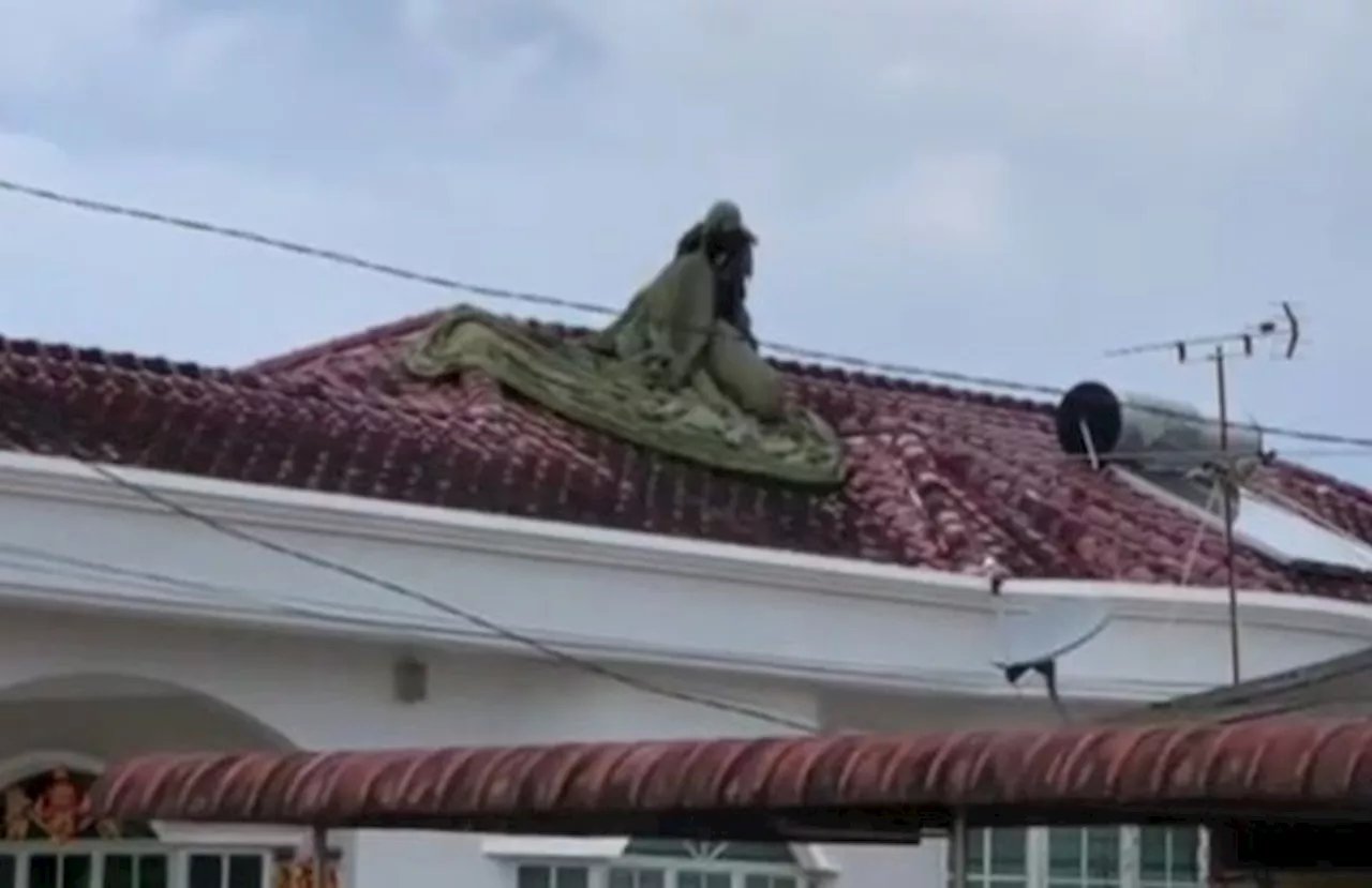 Cop recounts landing on house roof during parachute training