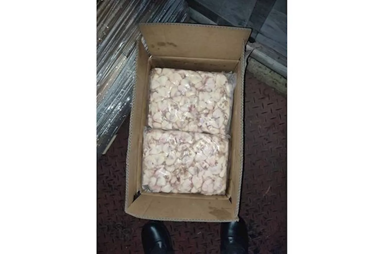 Johor Maqis busts bud to smuggle in nearly 30,000kg of chicken bottoms