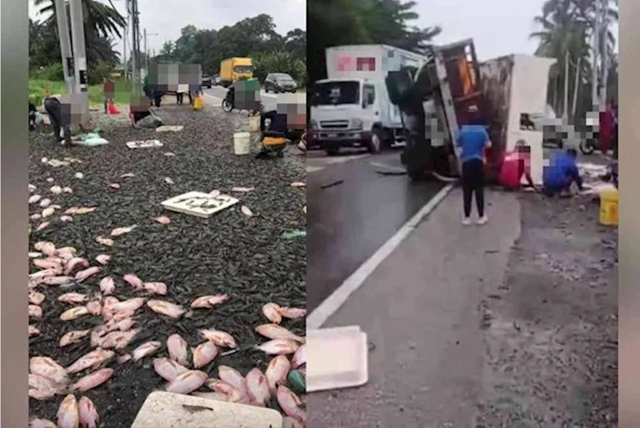 QuickCheck: Were thousands of fresh fish, prawns spilt on a Johor road?