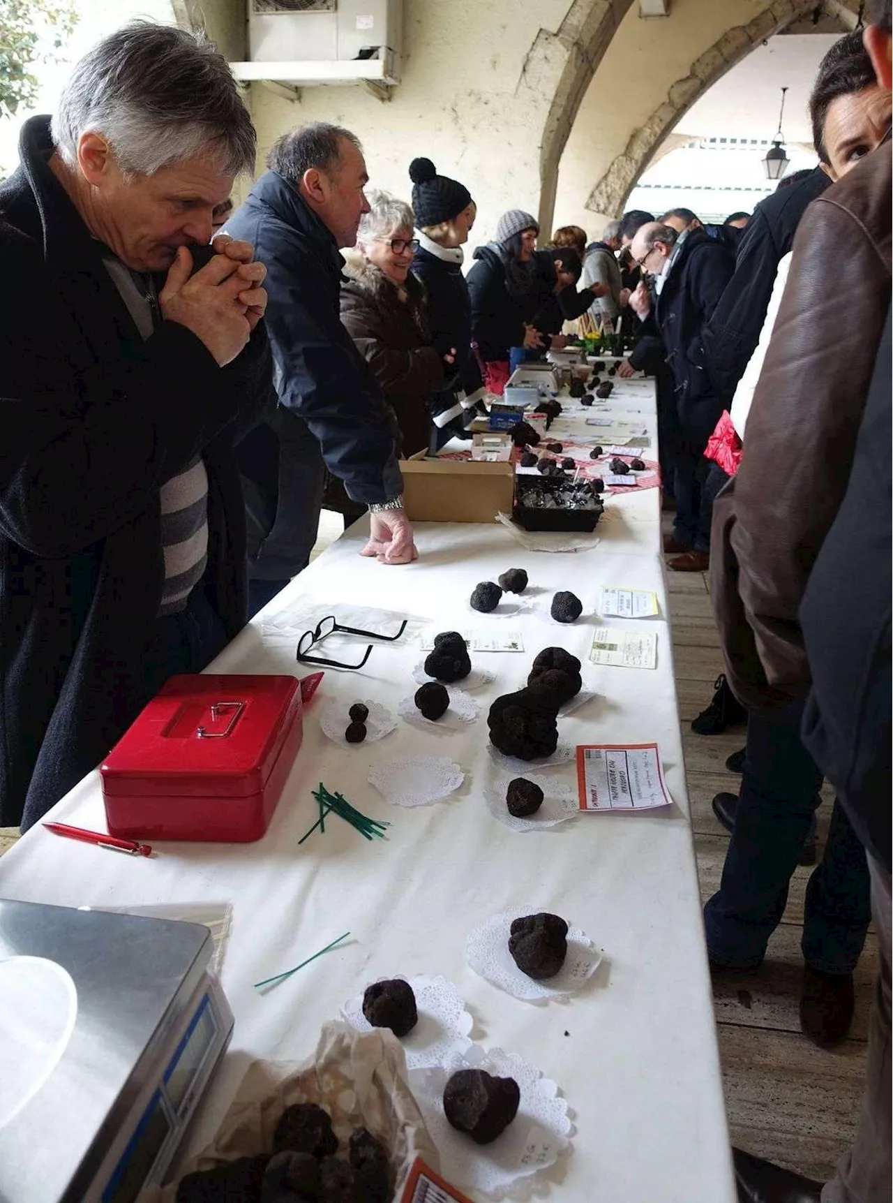 Agen : le marché aux truffes s’installe sous les Cornières, samedi, pour sa dixième édition