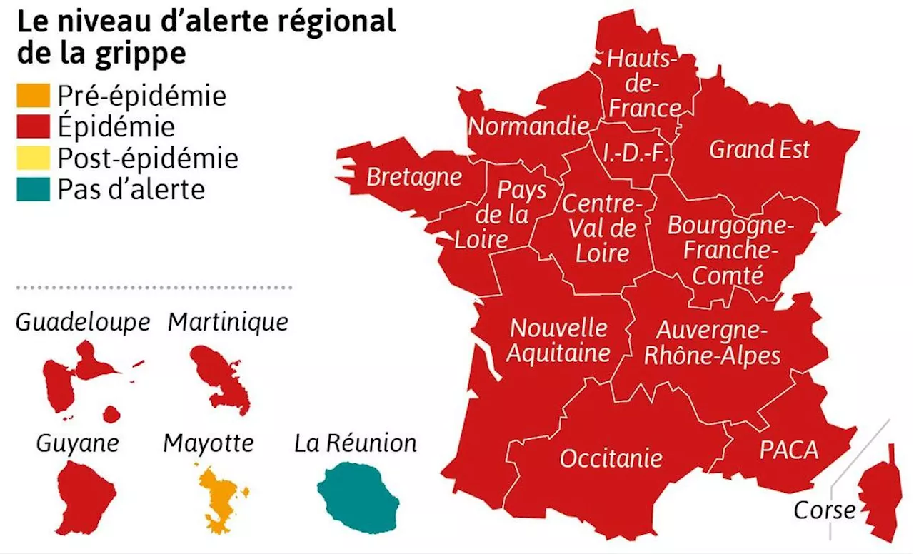 CARTE. Grippe en France : l’épidémie reste intense, notamment chez les enfants