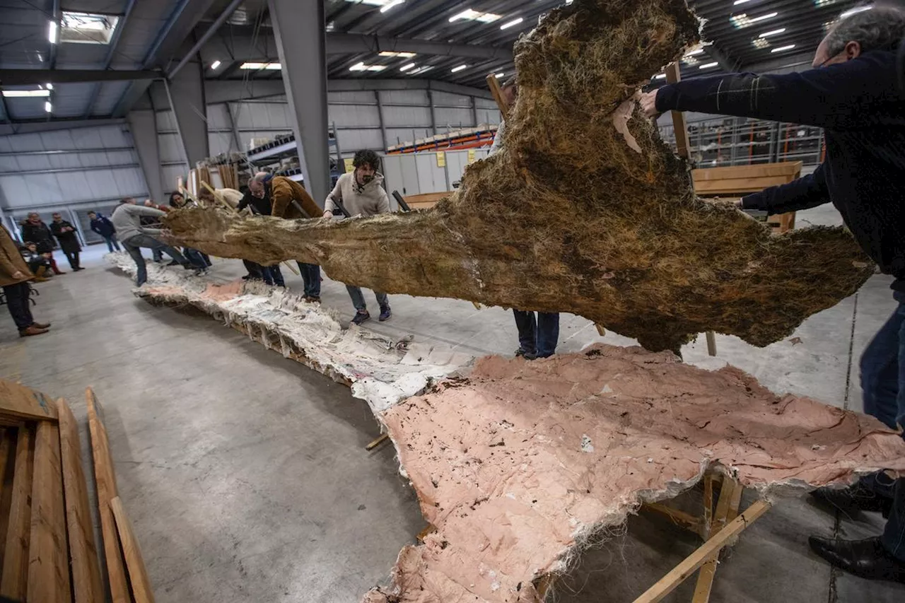 Insolite à Cognac : le moulage d’un arbre fossile de 140 millions d’années à voir à la Fondation Martell