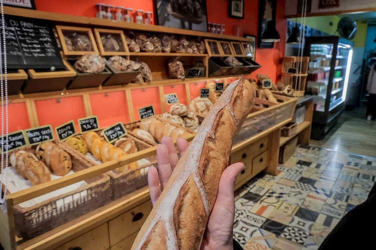 Pays basque et Sud Landes : un oncle et ses neveux condamnés pour des attaques de boulangeries à la voiture-bélier