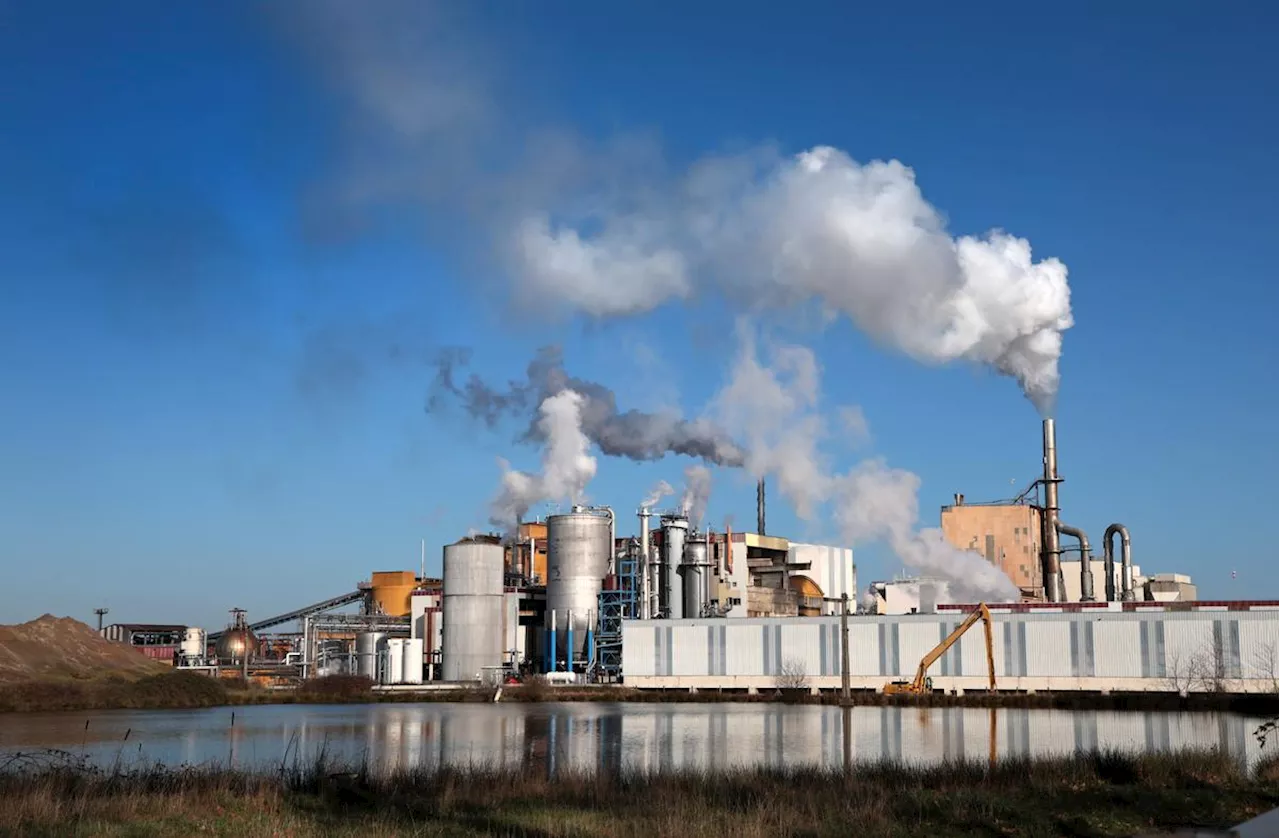 « Ras-le-bol général » et 200 salariés en grève : l’usine Ryam dans les Landes à l’arrêt