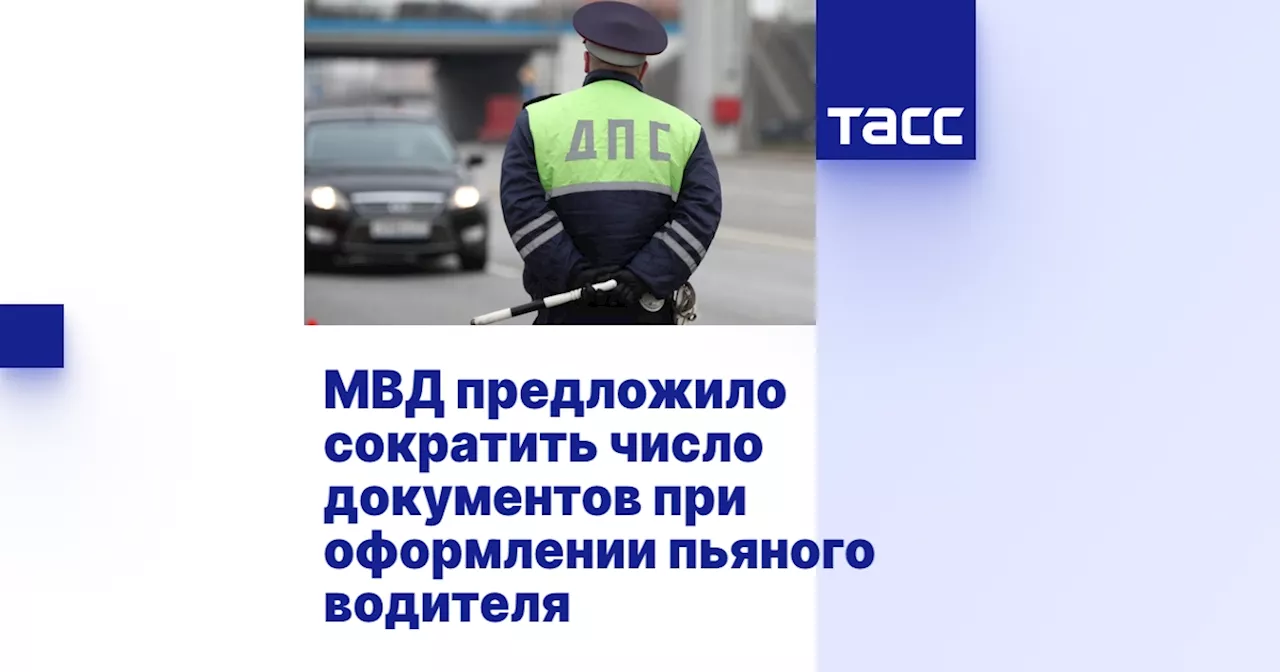 МВД предложило сократить число документов при оформлении пьяного водителя