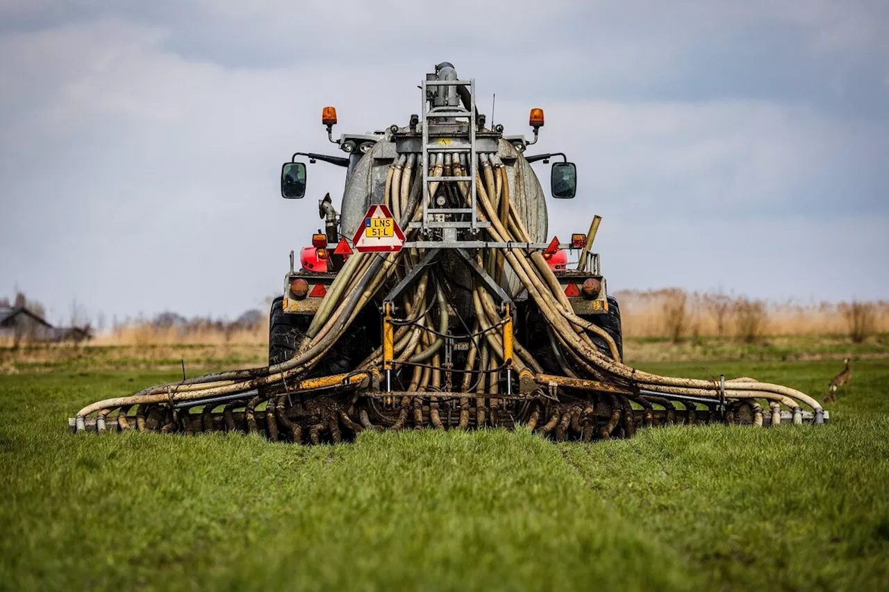 Stickstoff-Ausstoß der Landwirtschaft: Urteil gegen Überdüngung in den Niederlanden