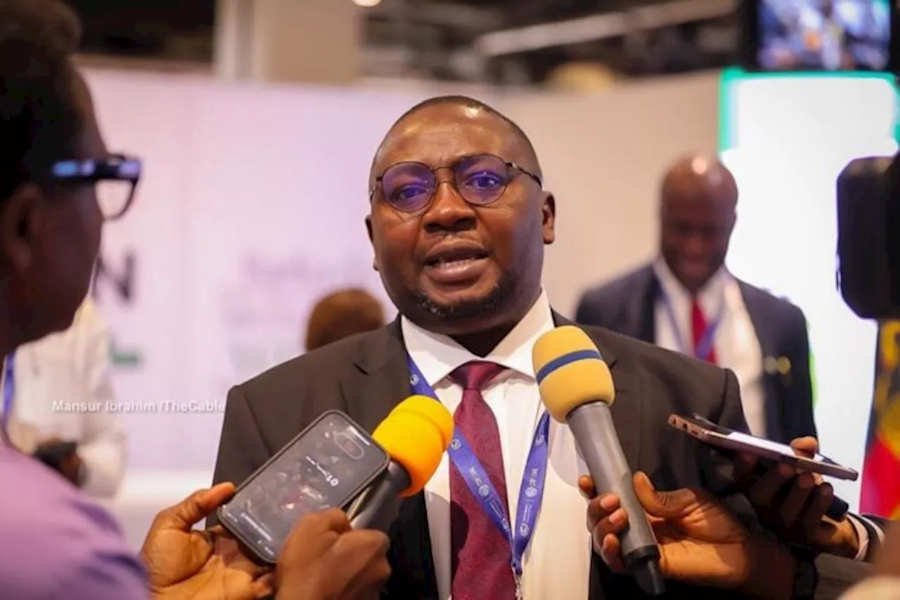 Adelabu: N8bn budgeted for anti-vandalism -- NOT electricity bill sensitisation