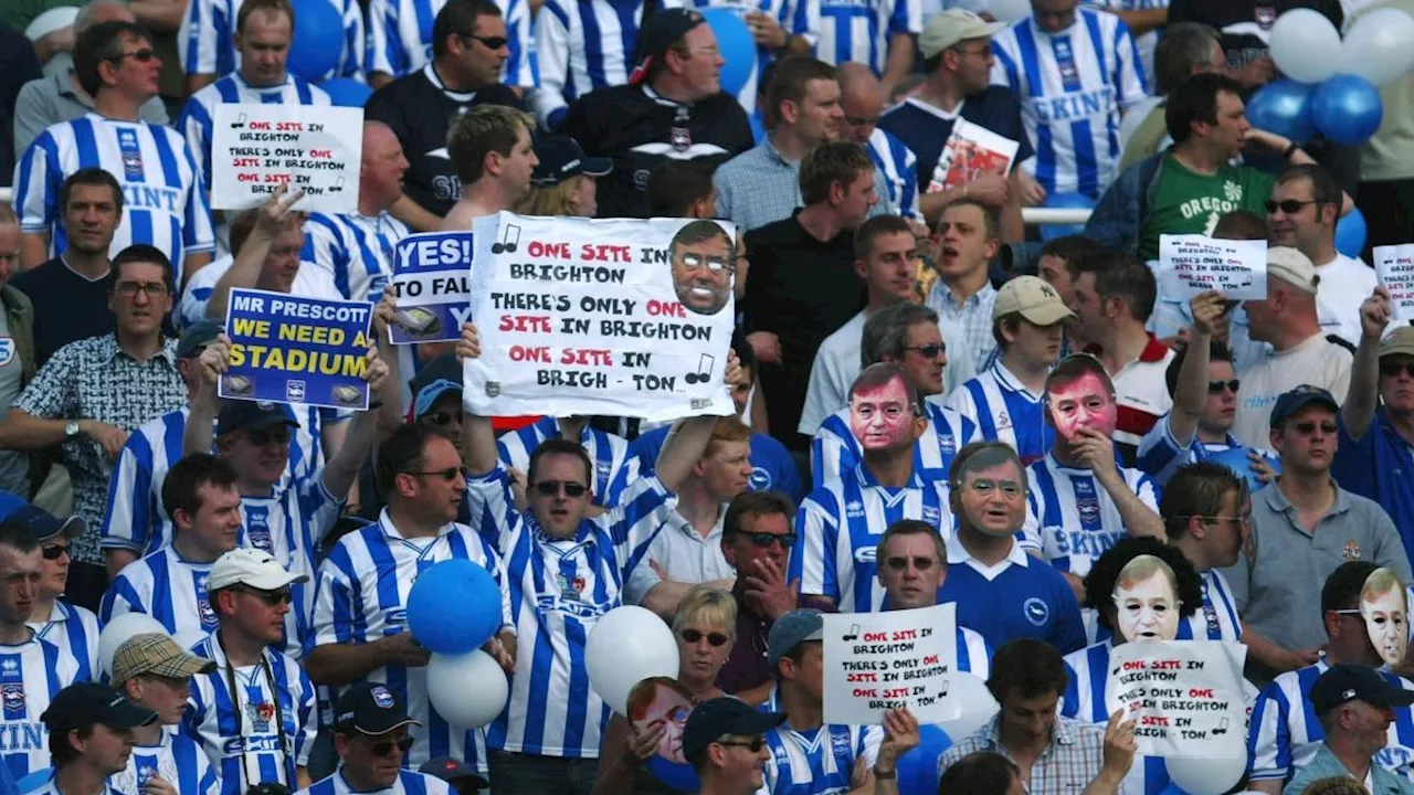 Brighton Fans' Loyalty Forged in the Fires of Near-Oblivion