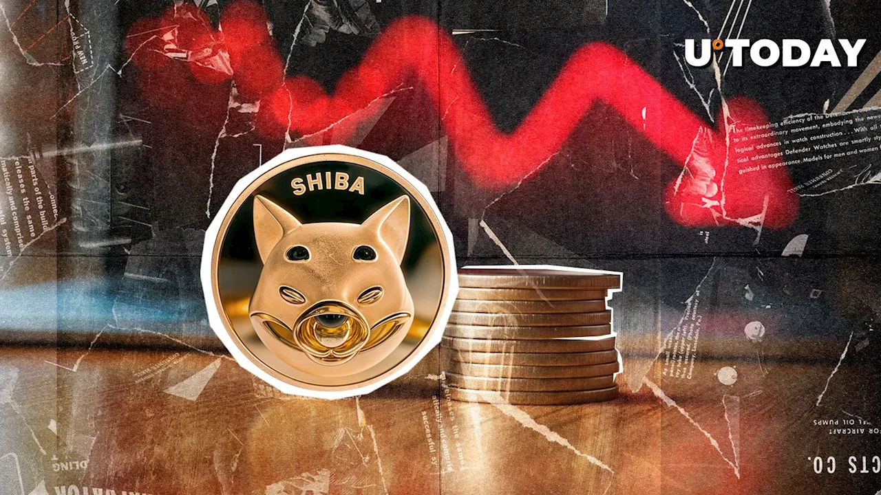 Shiba Inu (SHIB) Price Teeters: Will It Find a Second Bottom?