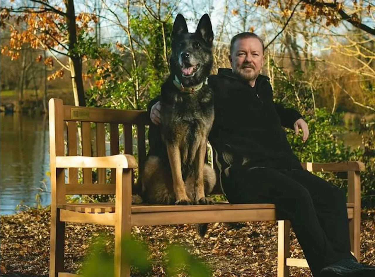 Ricky Gervais om TV-hunden: – Triste nyheter