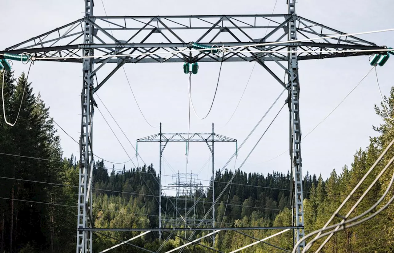 NHO-topp om strømstriden: - Storm i vannglass