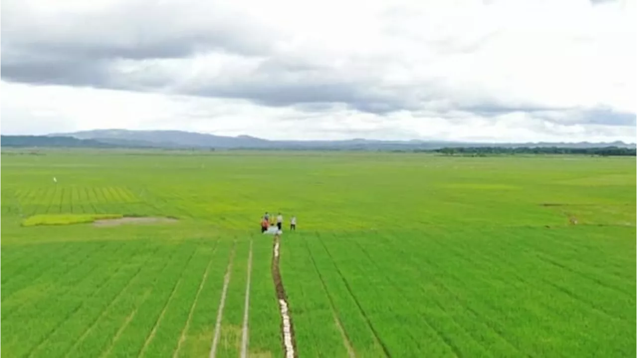 Upaya Kedaulatan Pangan Indonesia