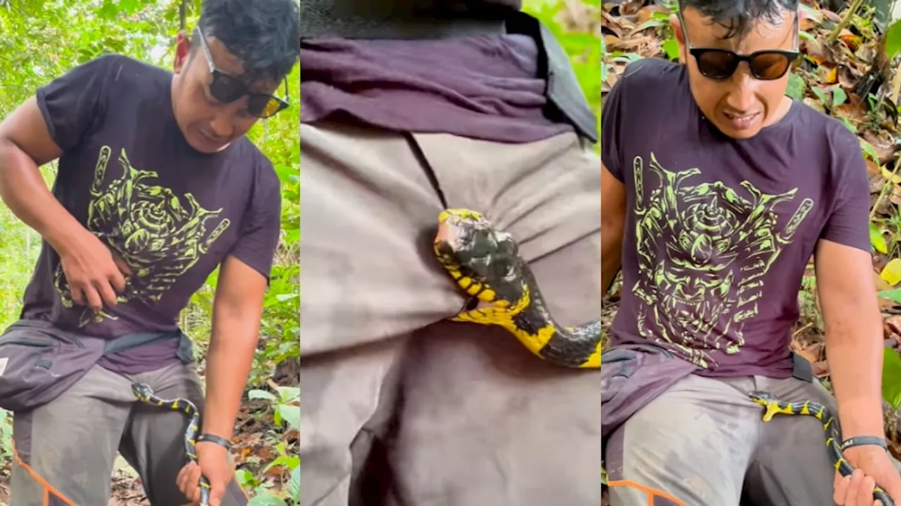 Cobra Snake Video: వామ్మో... ప్రైవేటు పార్ట్‌పై పాము కాటు.. ఇన్ ఫ్లూయెన్సర్‌కు నరకం... వీడియో వైరల్..