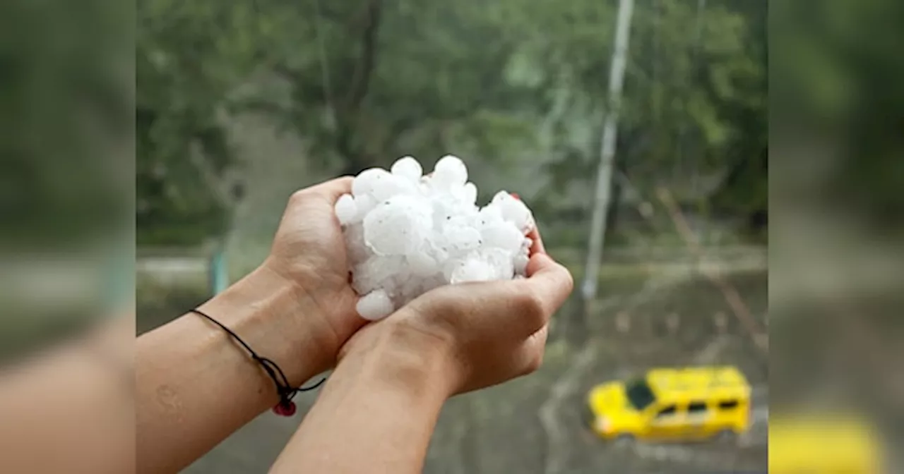 Rajasthan Weather Update: राजस्थान में आज से फिर बढ़ेगा सर्दी का दौर, ताबड़तोड़ बारिश के साथ गिरेंगे ओले, मावठ काटेगा उधम, पढ़ें वेदर अपडेट