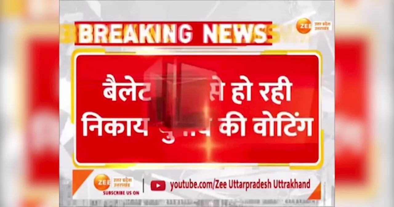 Uttarakhand Nikay Chunav 2025: उत्तराखंड में 11 मेयर प्रत्याशियों के लिए वोटिंग, वोटर्स ने बताया क्या सोच कर रहे?