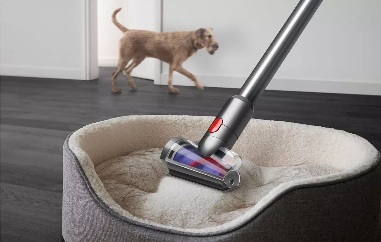 Dyson V15 Detect Fluffy : Aspirateur Puissant et Intelligent