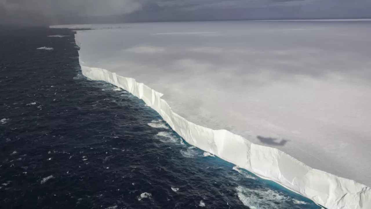 World's Largest Iceberg Heads Toward Penguin Haven