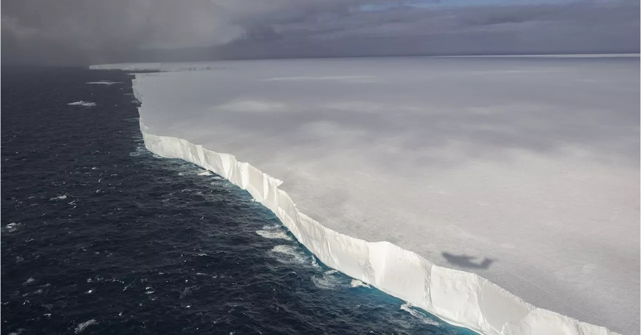 Massive Iceberg Heads Towards Penguin Haven, Raising Ecological Concerns