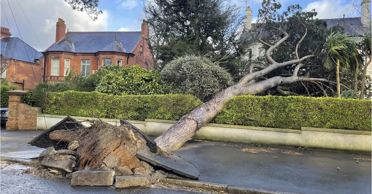 Storm Éowyn Batters UK and Ireland with 'Stay at Home' Warnings