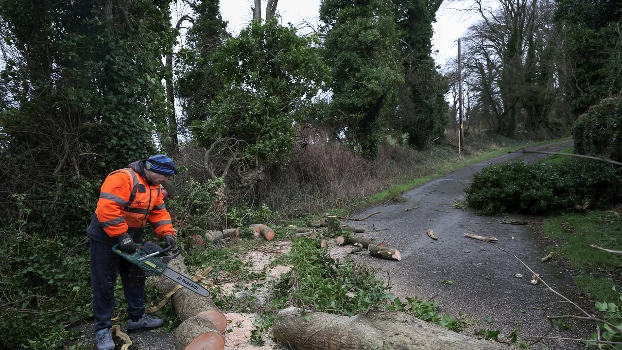 Tragedia en Irlanda: Un hombre muere aplastado por un árbol en medio de la tormenta Eowyn