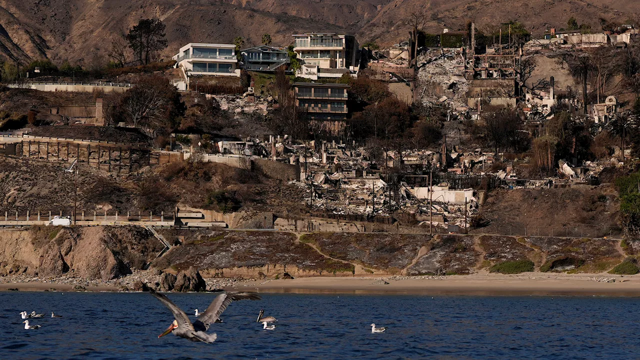 Southern California Braces for Rain After Wildfires, New Fires Spark Near Border