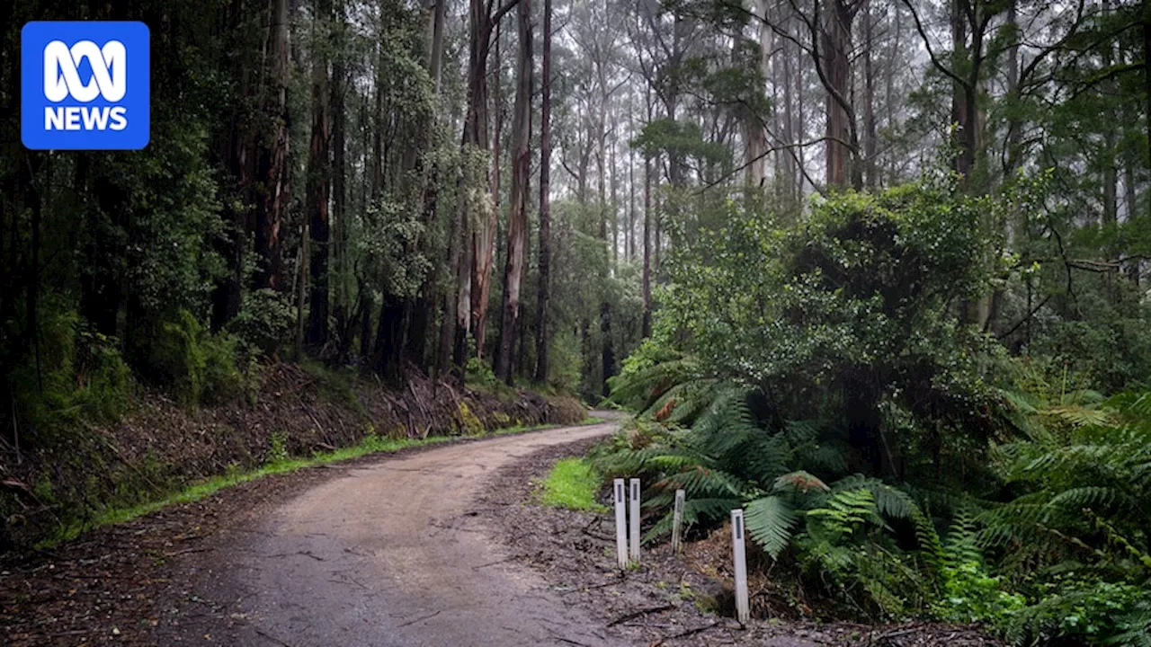 Poor camping behaviour raises concerns about future care of Victoria's public land