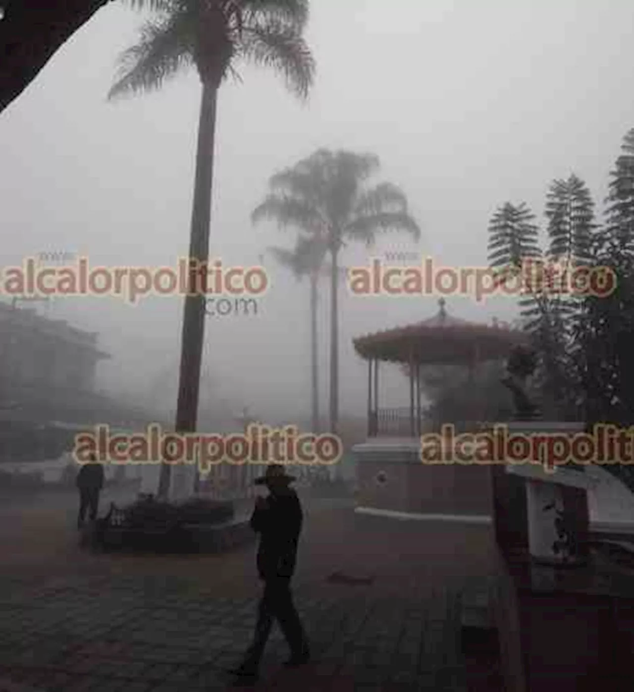 Sin afectaciones en campos de Zongolica por heladas, reportan autoridades