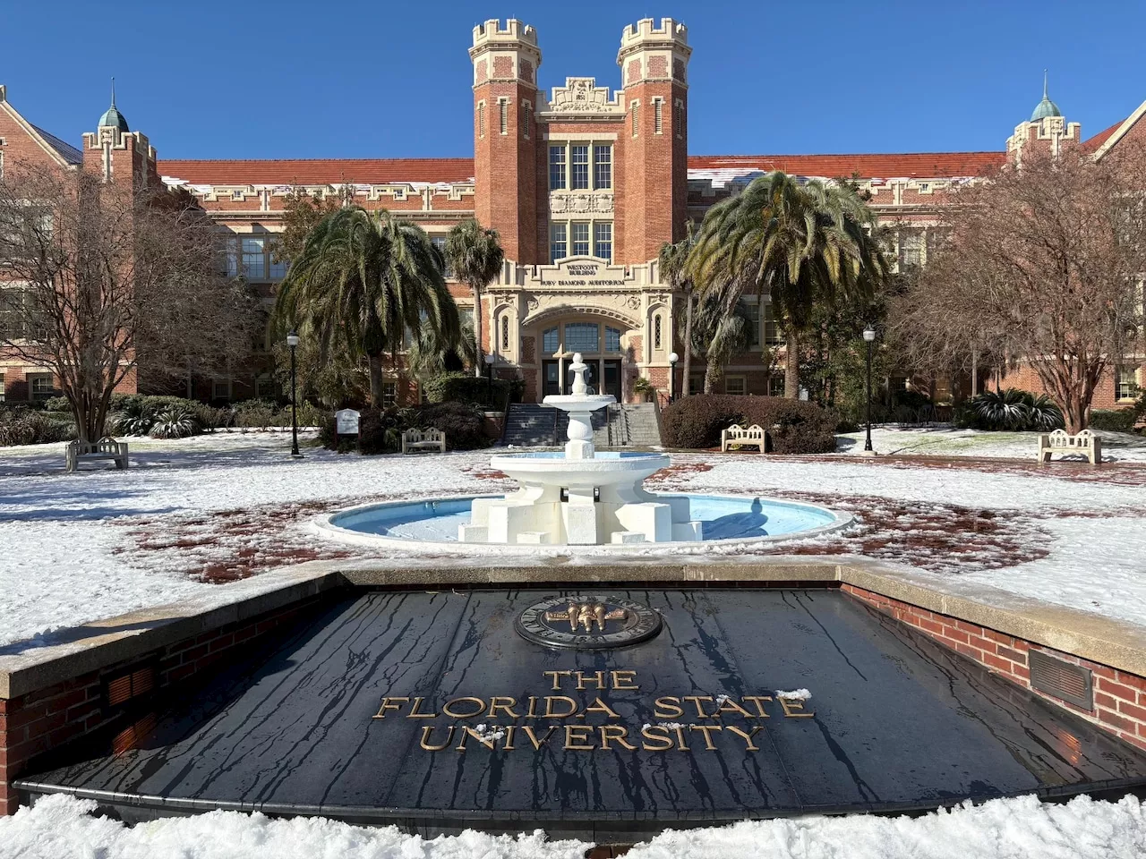 Tallahassee Police Deploy Pepper Balls on Students Celebrating Snowstorm