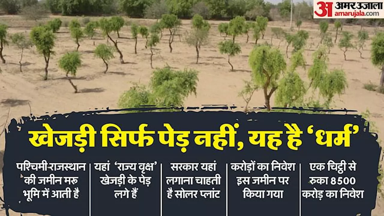 Khejari Tree: लॉरेंस का खौफ, भाटी की धमकी से उबाल; पेड़ के लिए मरने को क्यों तैयार पश्चिम के राजस्थानी? जानें