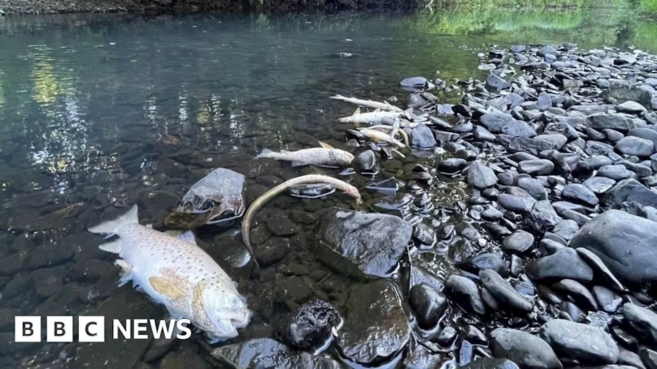 Campaigners Claim Water Pollution Monitors Near England's Largest Lake are Ineffective