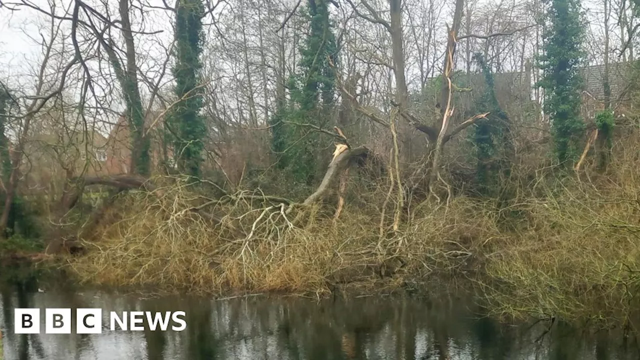 Storm Éowyn Causes Travel Disruptions and Property Closures in Wales and England