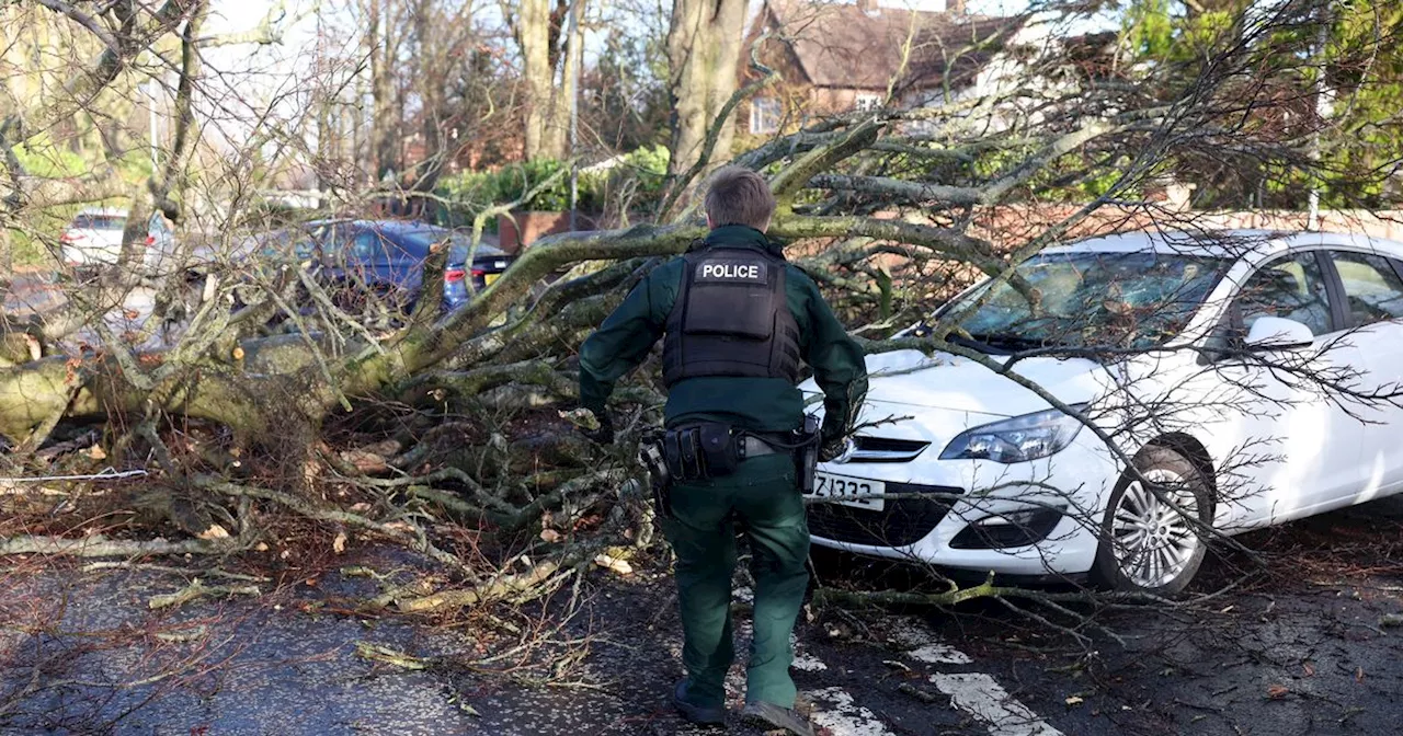 Driver escapes injury after tree falls on car in East Belfast during Storm Eowyn