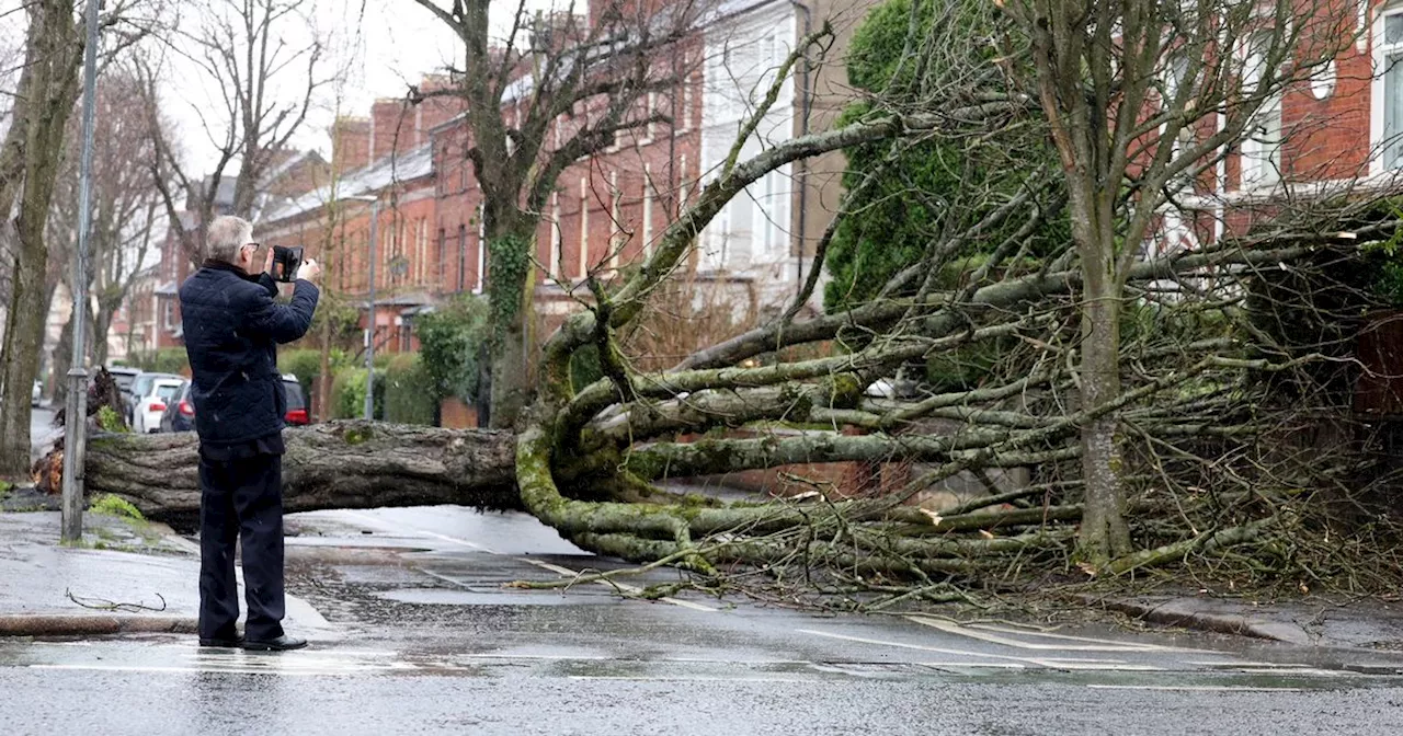 Storm Eowyn Brings Disruption and Destruction to Northern Ireland