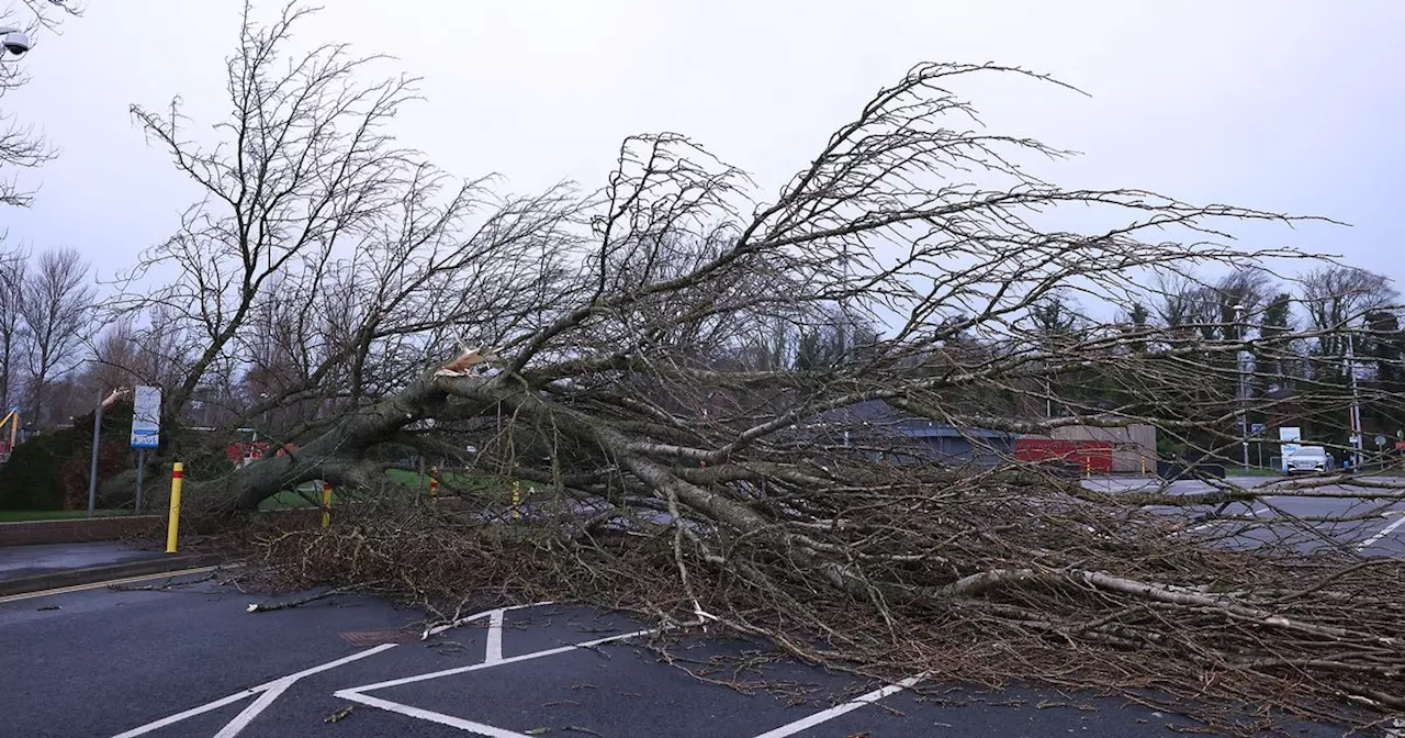 Storm Éowyn Causes Widespread Disruption in Northern Ireland