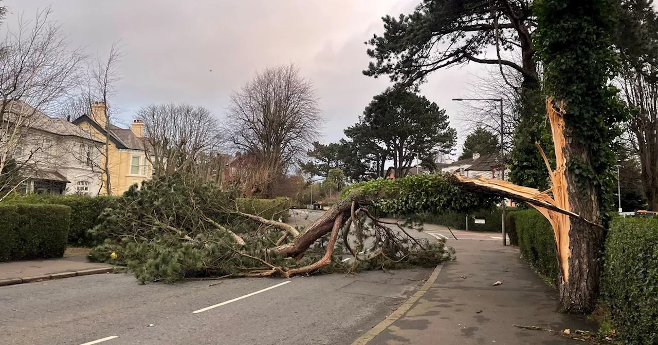 Storm Eowyn: Ireland Battered by Record Winds