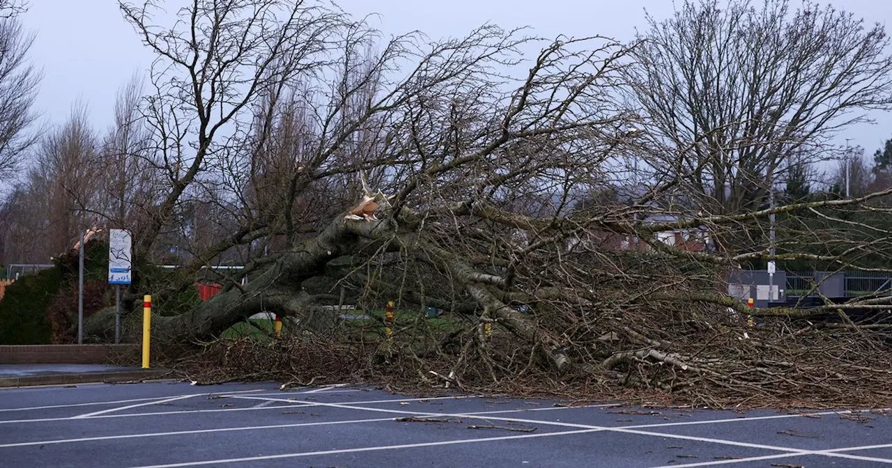 Storm Éowyn Leaves Over 280,000 Without Power in Northern Ireland