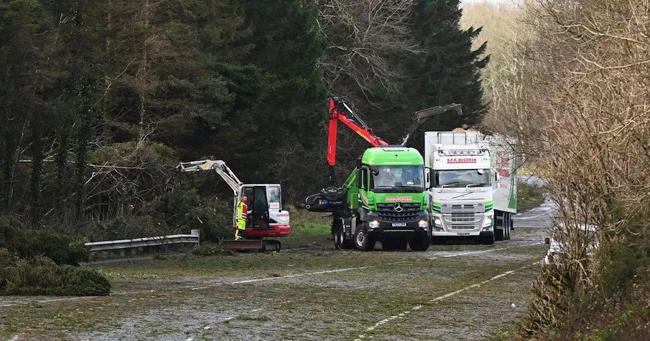 Storm Éowyn: Power Restoration in Northern Ireland Could Take Up to 10 Days