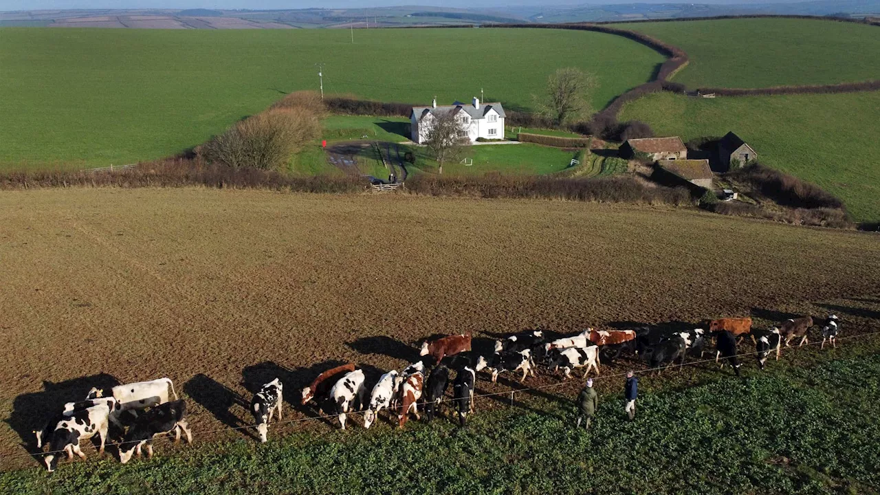 Un Impôt Agricole Débattu au Royaume-Uni : Entre Preoccupation et Révolte