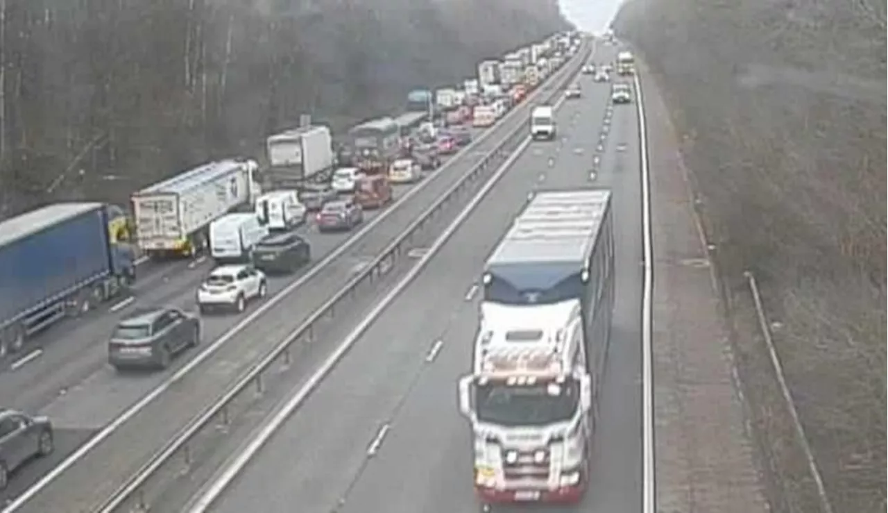 Storm Éowyn gusts shut M6 northbound near Preston as police warn of unsafe tree