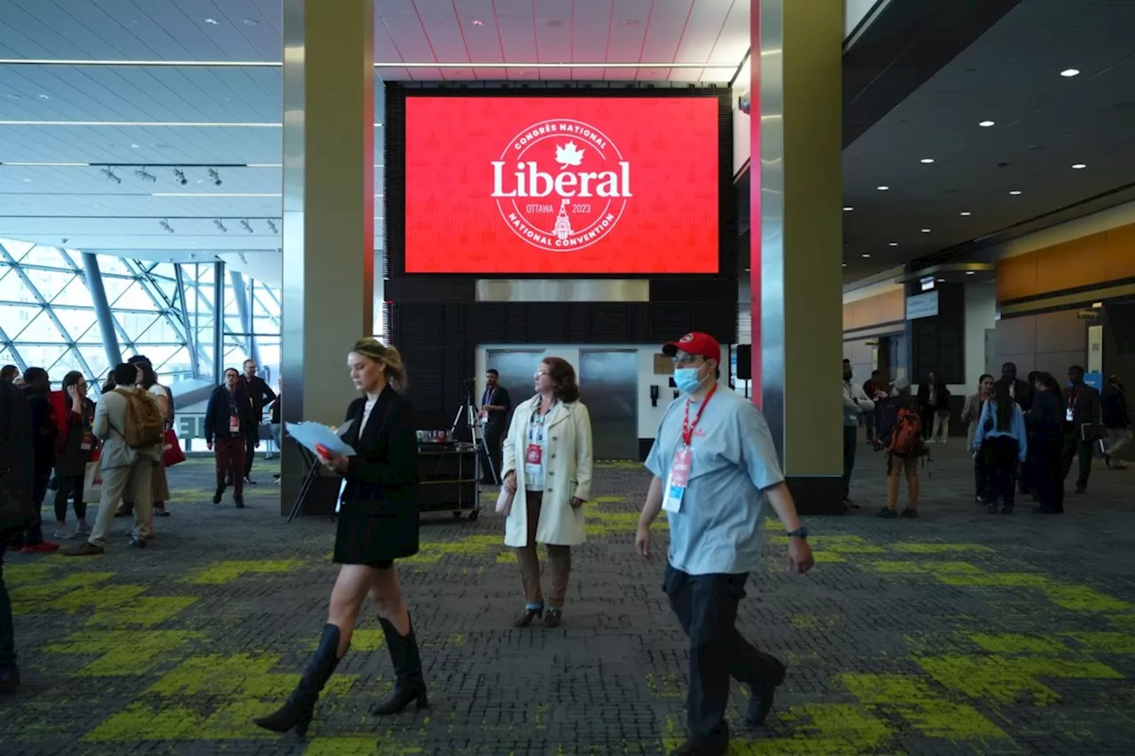 Liberal Candidates Vie for Leadership as Party Plots Election Strategy